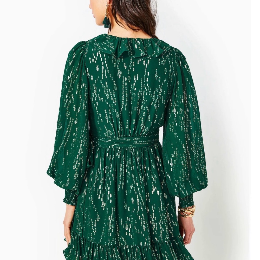 NWT - Lily Birdy Long Sleeve Silk Dress - Evergreen - Size 16 - Picture 9 of 10